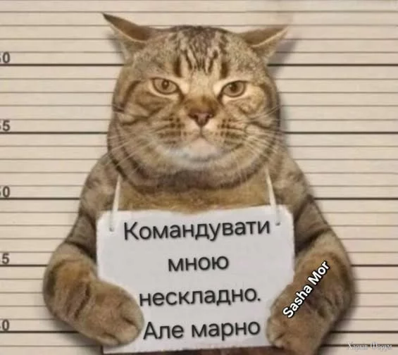 1751200739539.webp