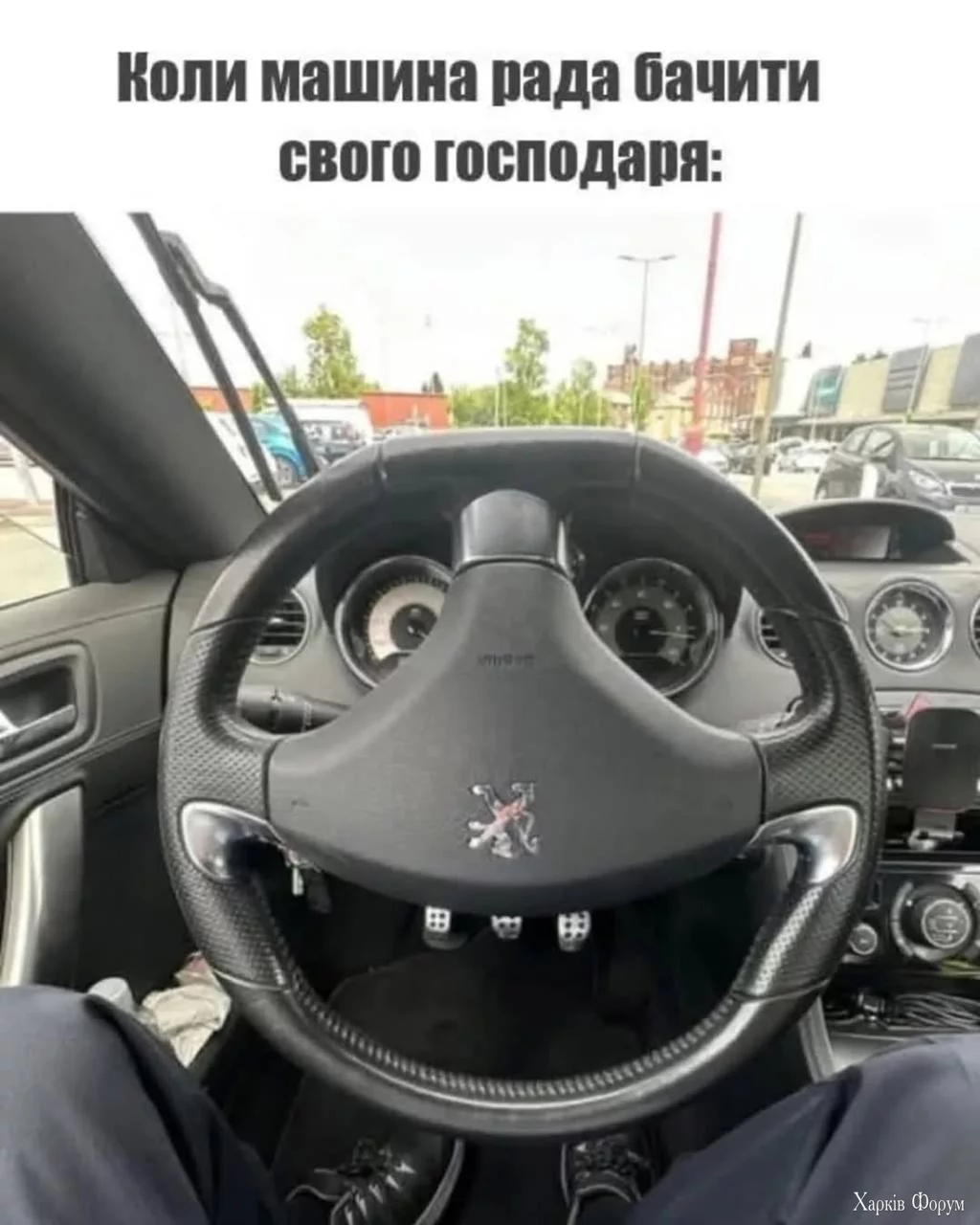 1751205081902.webp