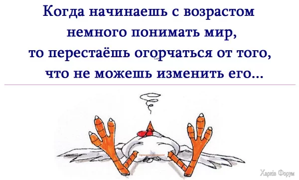 1751229424659.webp