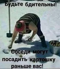 1751468425724.webp