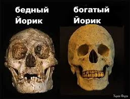 1751573538423.webp
