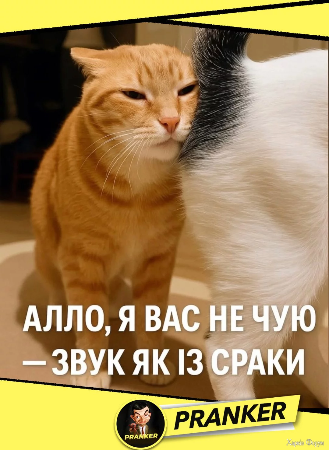 1751631608920.webp