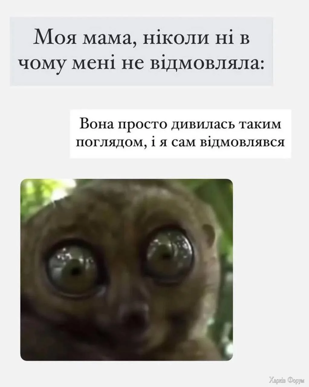 1751716478269.webp
