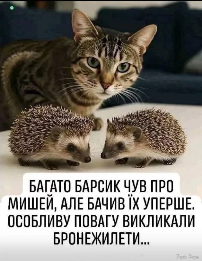1751737006277.webp