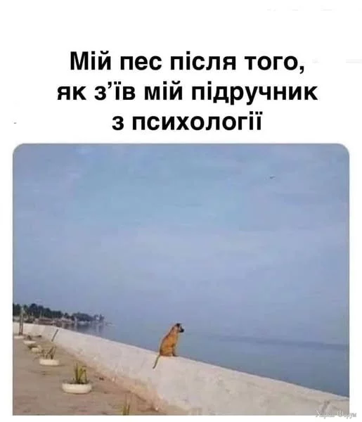 1751805794389.webp