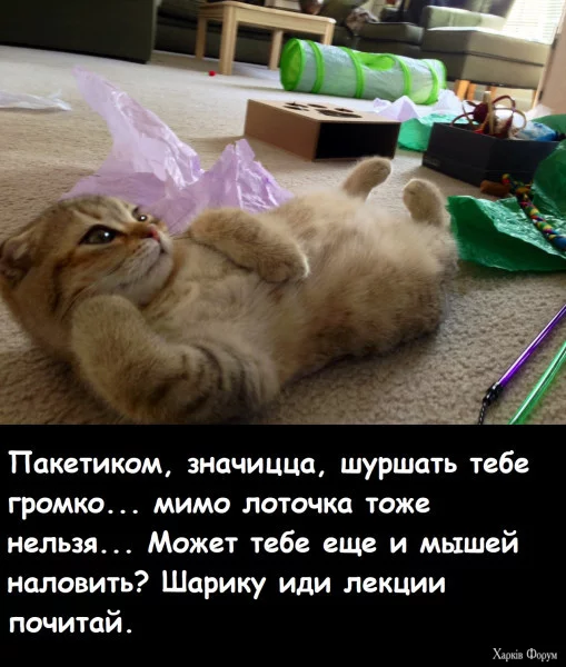 1751847352872.webp