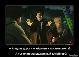 1751991286532.webp