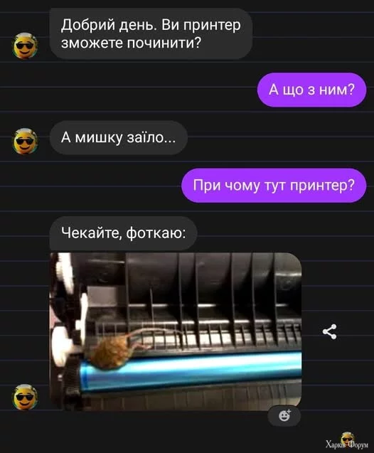 1752178794707.webp