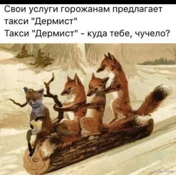 1752186354513.webp
