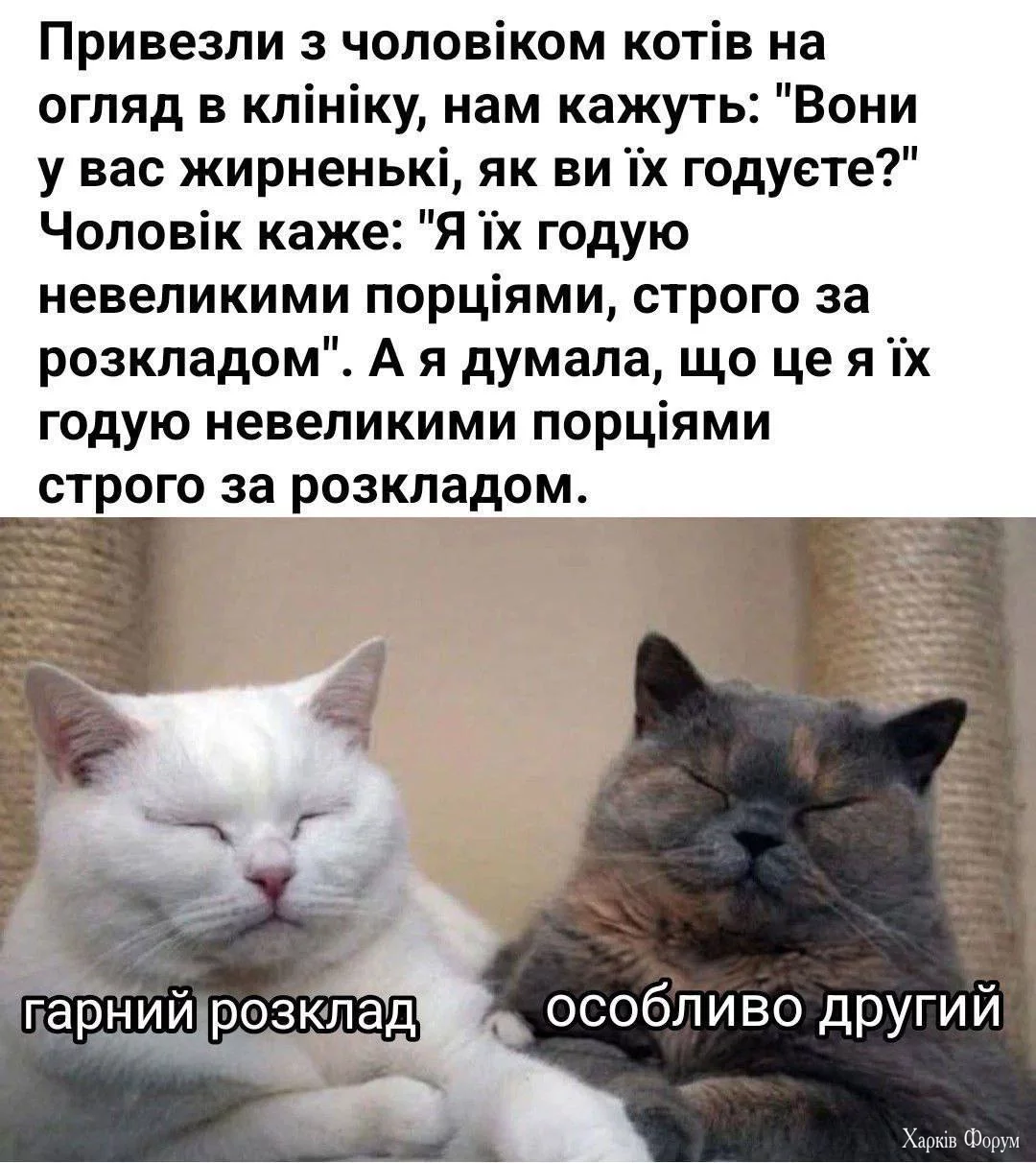 1752214867944.webp