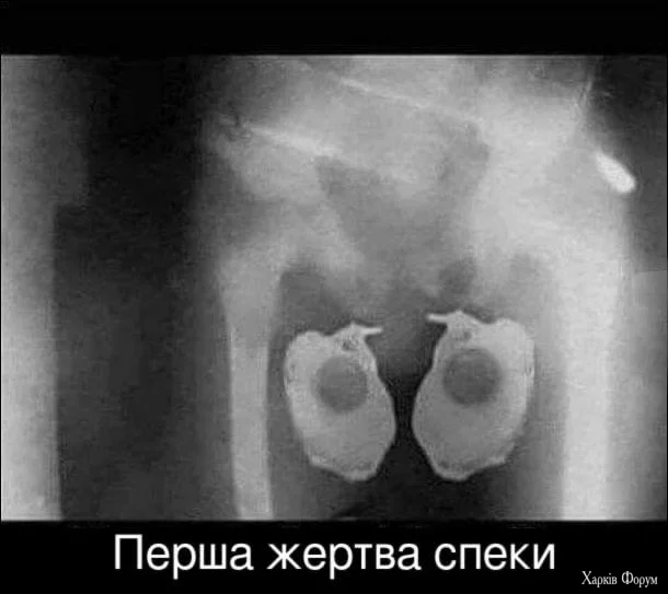 1752325657863.webp