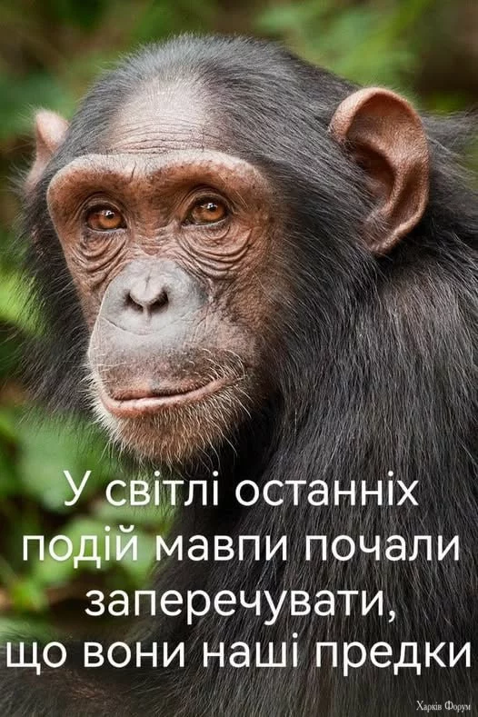 1752481146180.webp