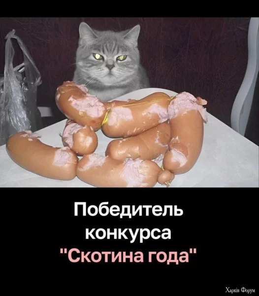 1752529048616.webp