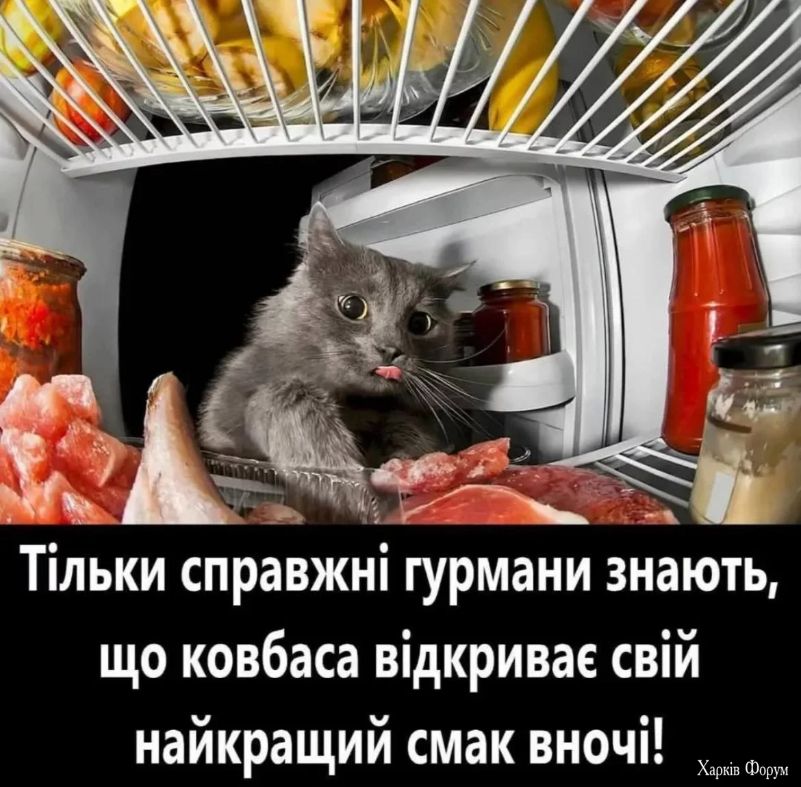 1752602853019.webp