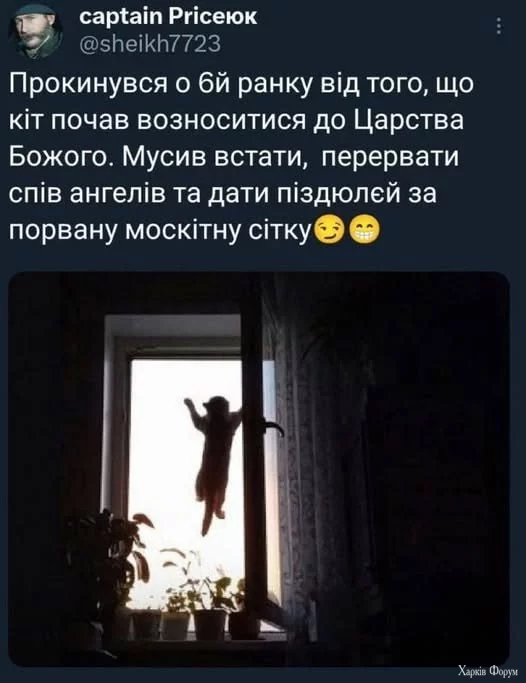 1752690231213.webp