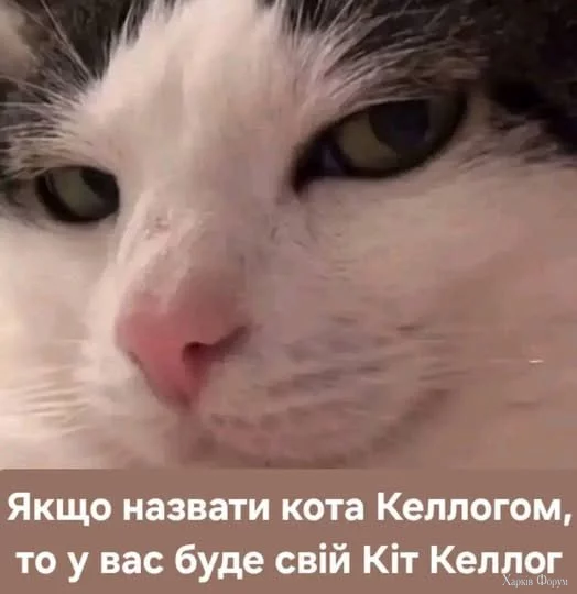 1752943474400.webp
