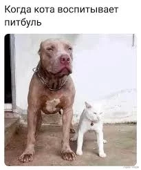 1753021313629.webp