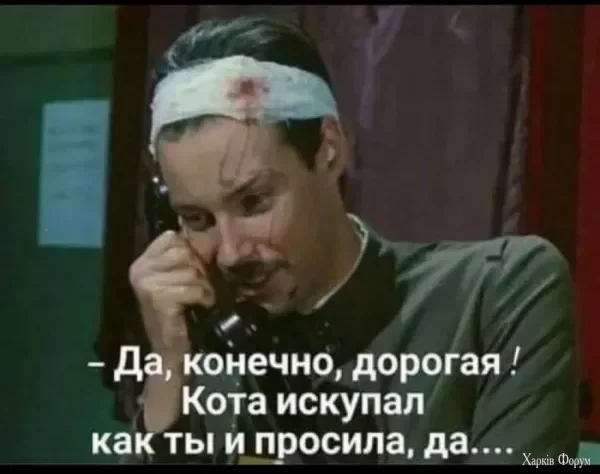 1753050044935.webp