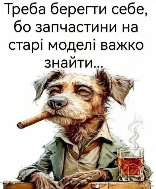 1753089951264.webp