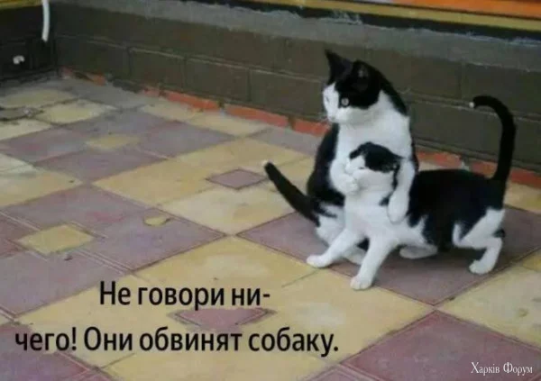 1753140812417.webp