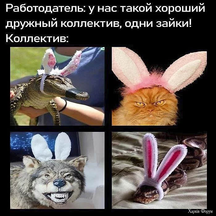 1753210915669.webp