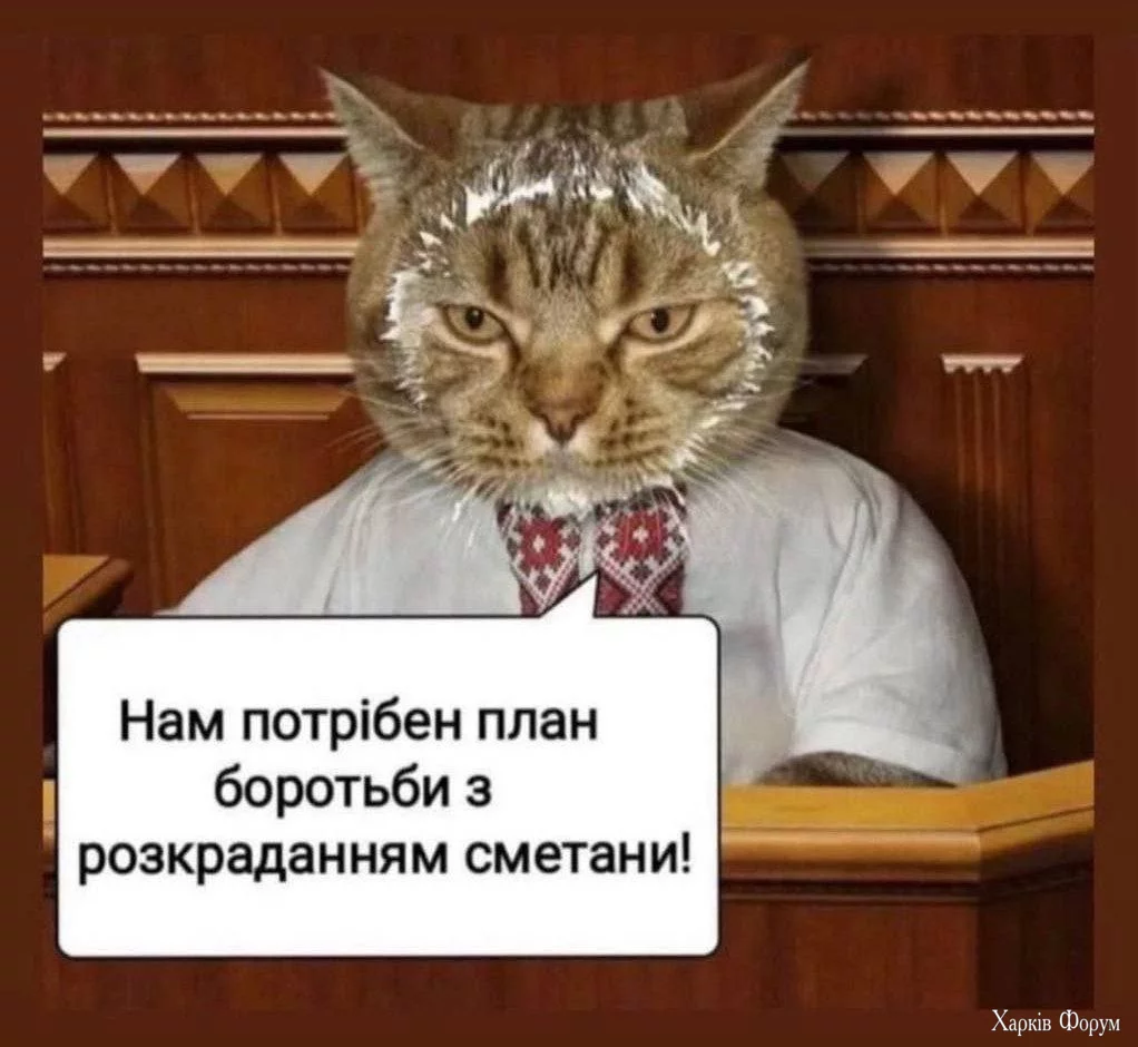 1753252240241.webp