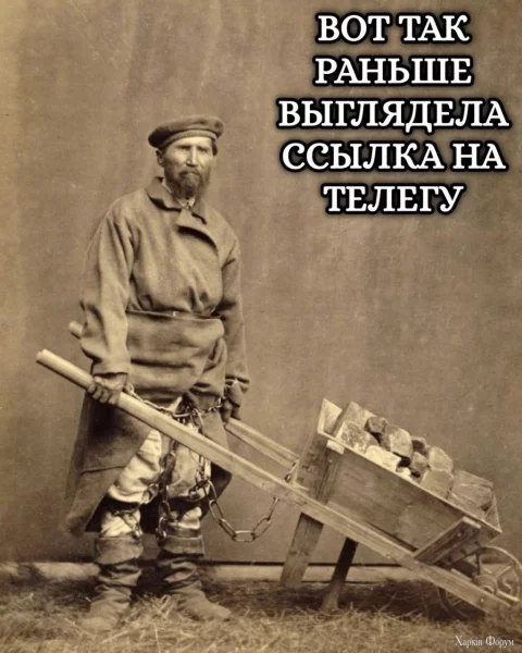 1753392710125.webp