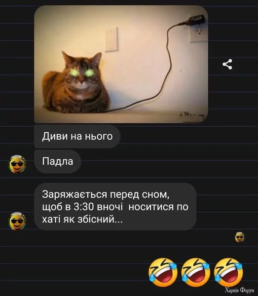 1753440076764.webp