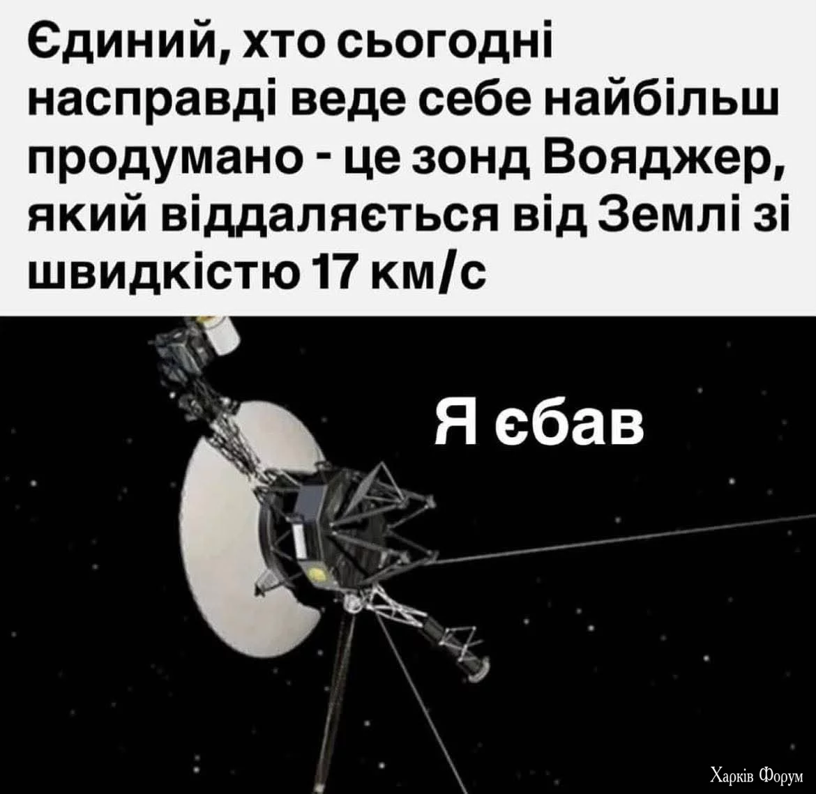 1753561222022.webp