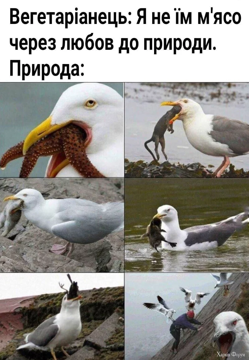 1753654334117.webp