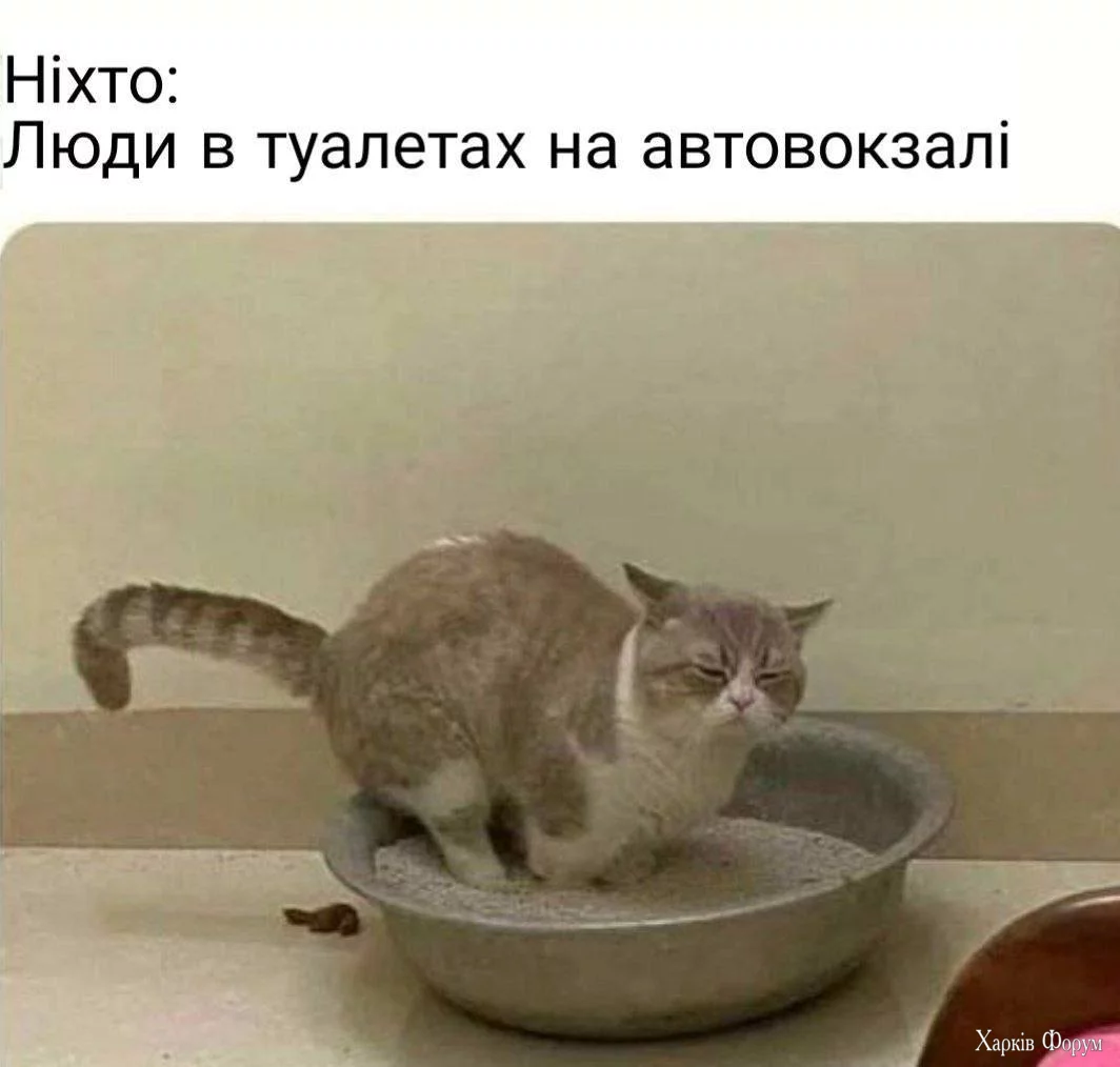 1753692371645.webp