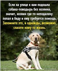 1753981843593.png