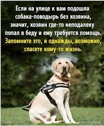 1753981843593.webp