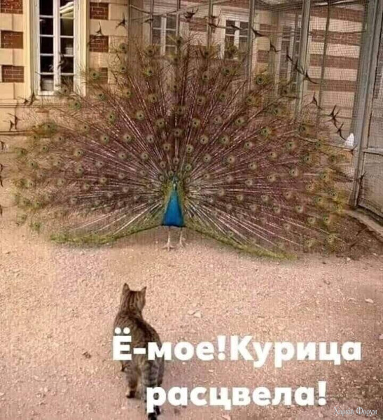 1754092890146.png