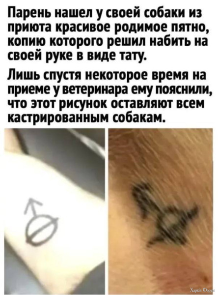 1754265167772.png