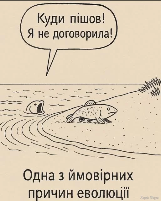 1754323059882.webp