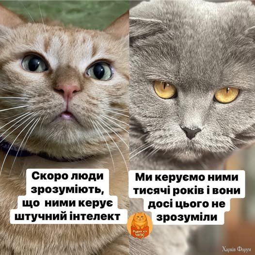 1754422357079.png