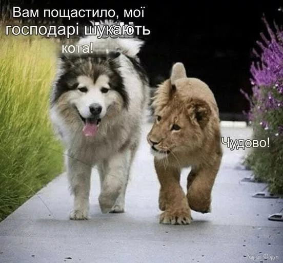 1754422418195.webp