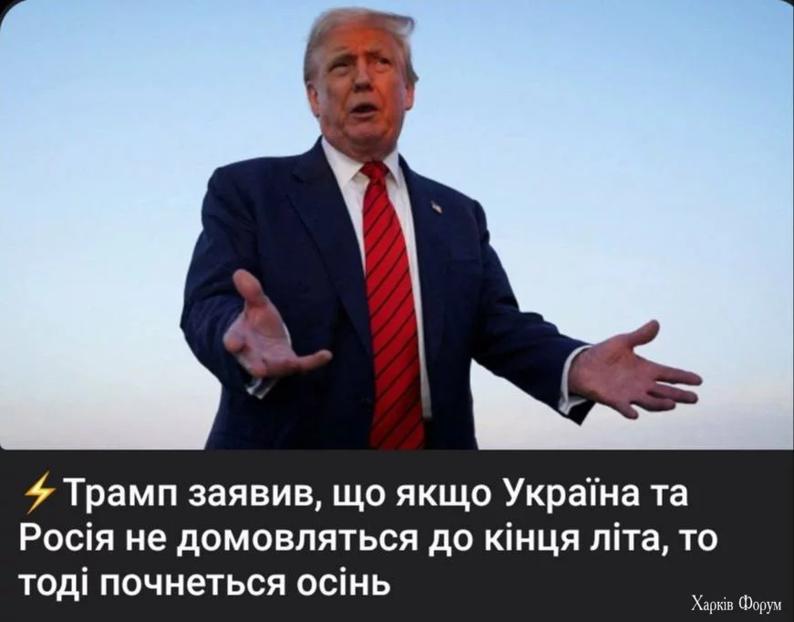 1754566952936.webp