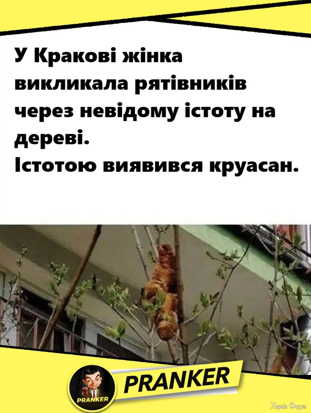 1754587564136.webp