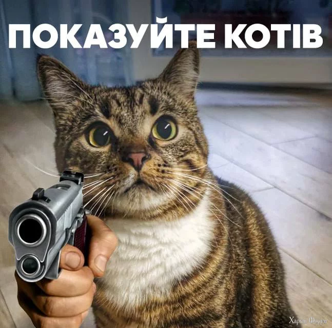 1754645003257.png