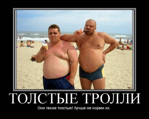 175474_l.jpg