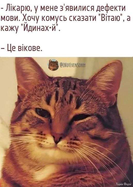 1754805209874.png