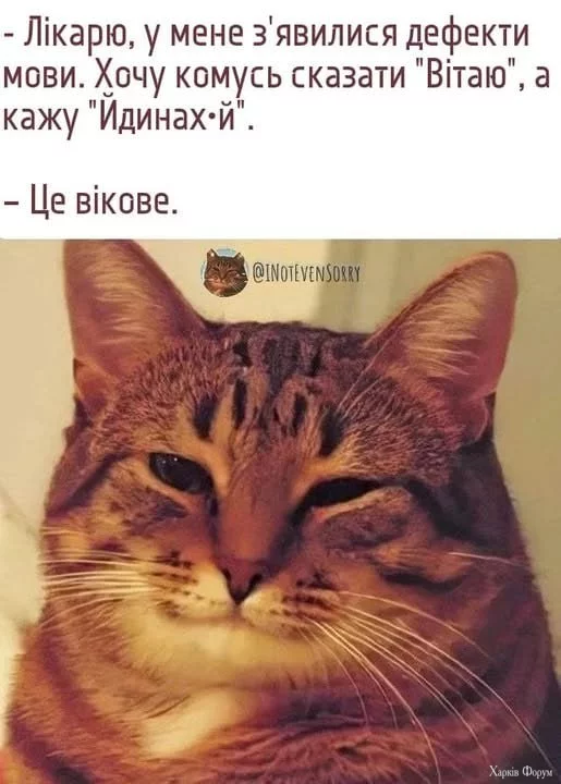 1754805209874.webp