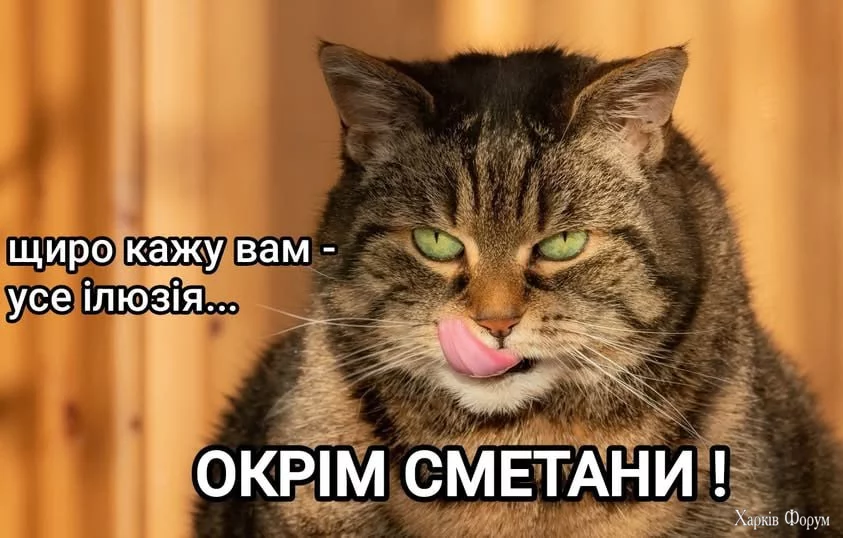 1754931736778.webp