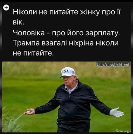 1755026250124.webp