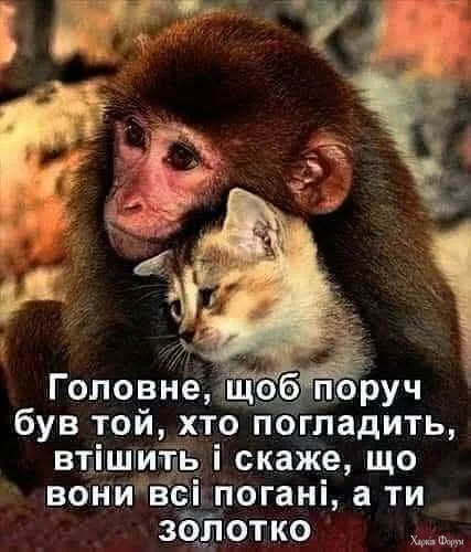 1755026455527.webp