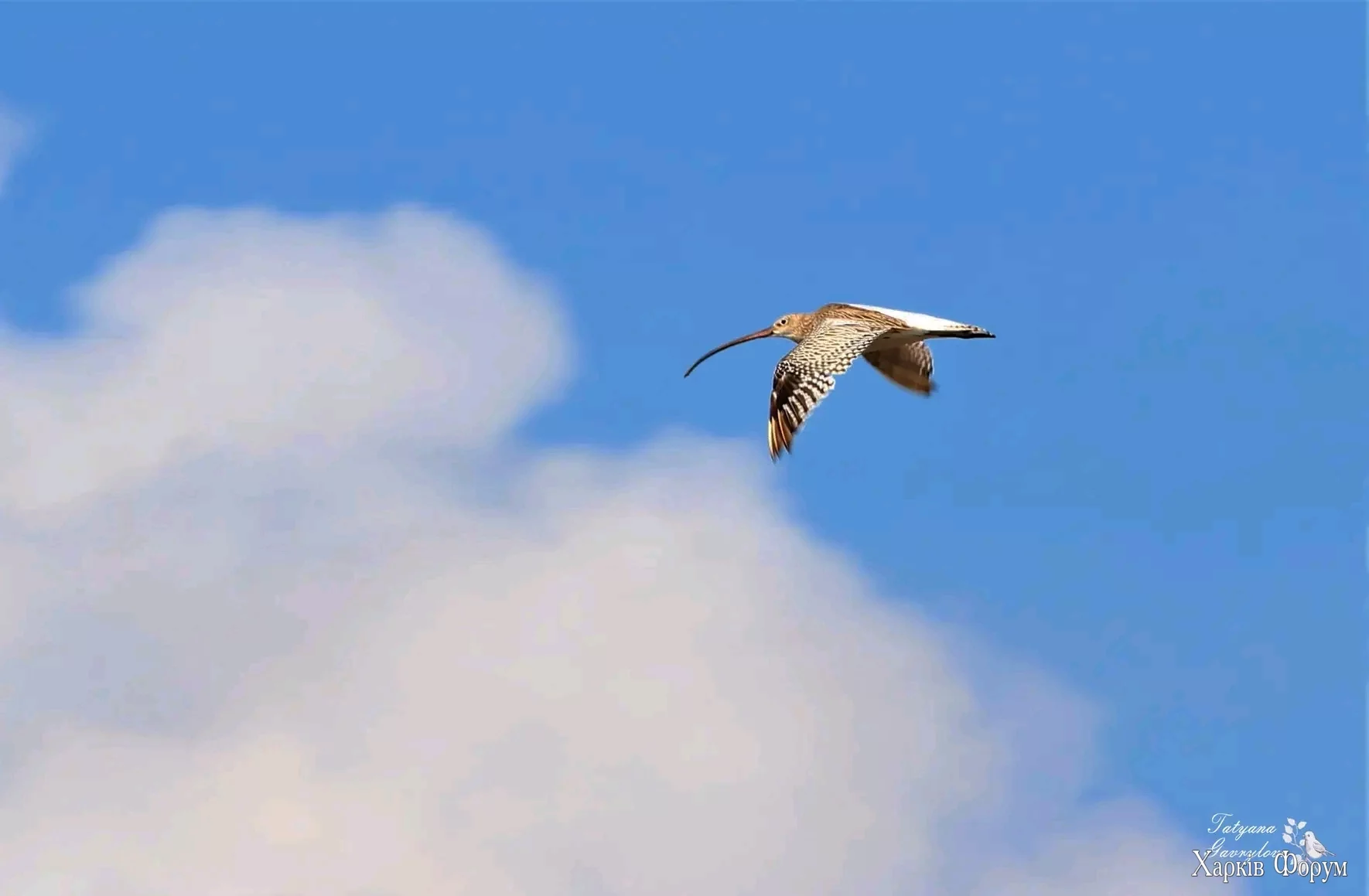 1755035451799.webp