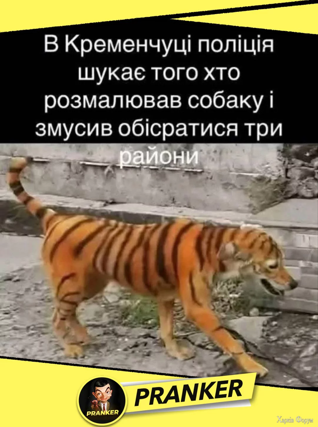 1755104327471.webp