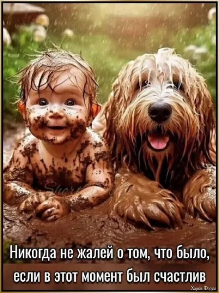 1755123526052.webp